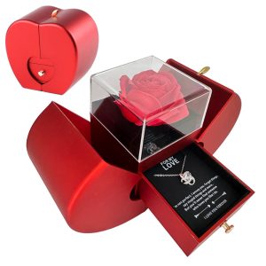 Red Apple Fashion Jewelry Box