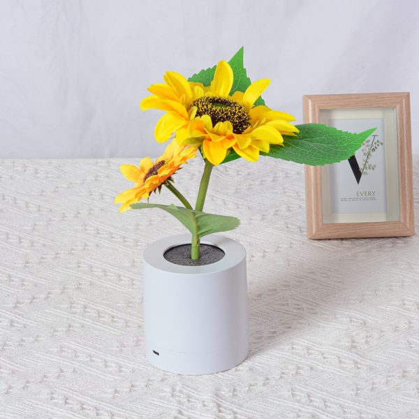 Desk Lamp For Resturaunt Hotel Wedding Gift - Image 10