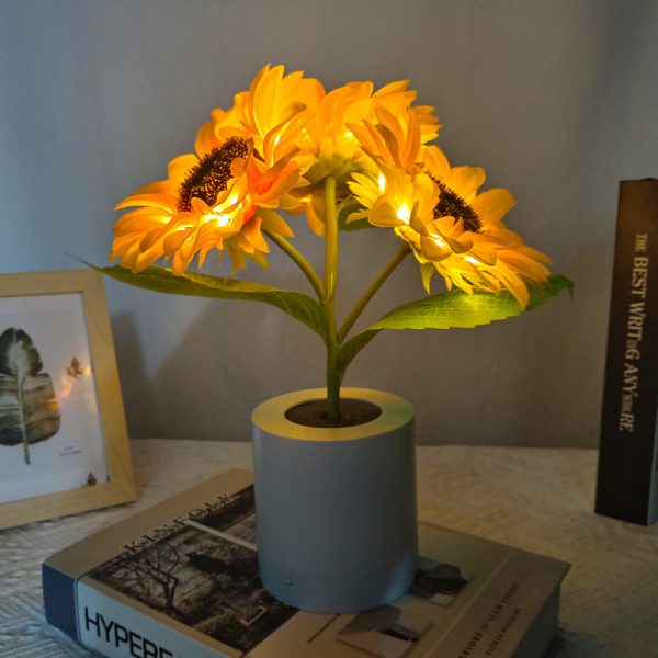 Desk Lamp For Resturaunt Hotel Wedding Gift - Image 8